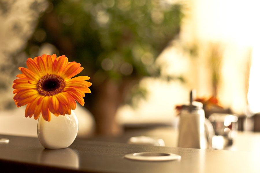 gal-cielo14 CIELO WEIMAR | RESTAURANT - BAR - CATERING - EVENT